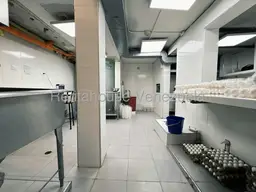 View 30