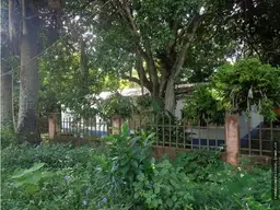 View 12