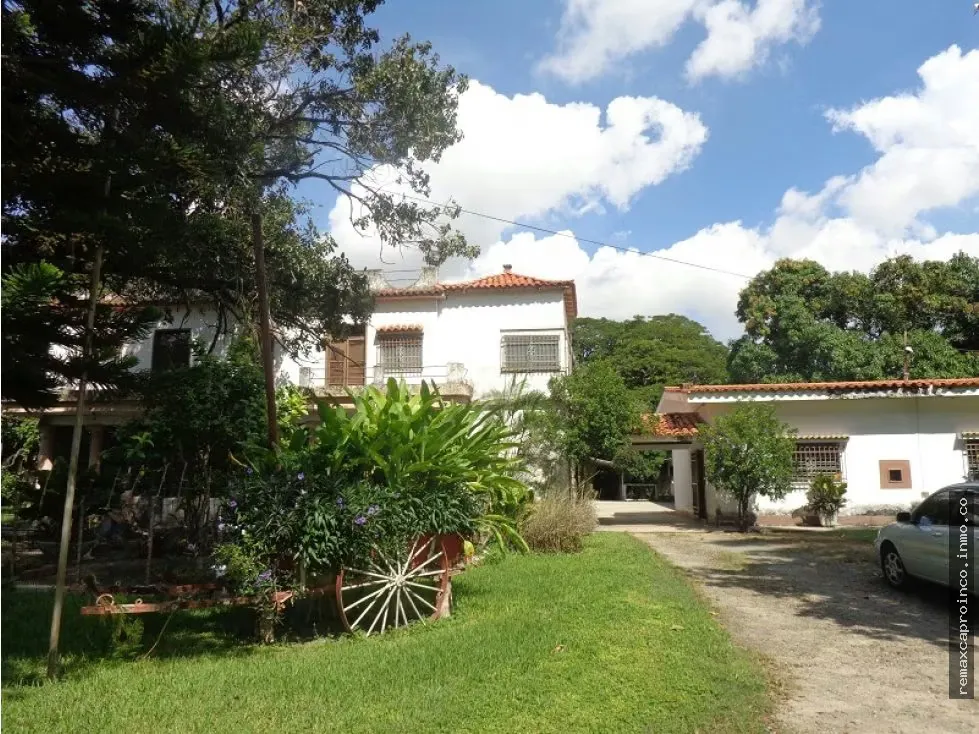 Espectacular Finca en Parque Valencia - 2