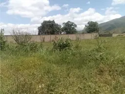 Vista 1