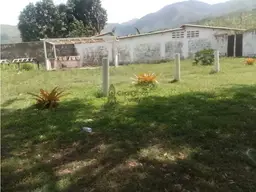 Vista 4