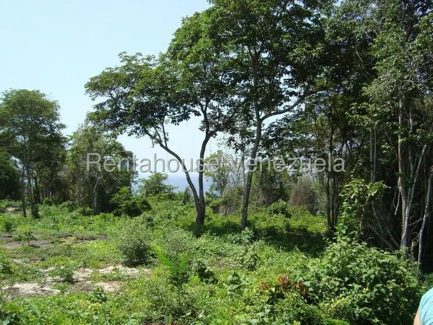 Terreno (Residencial) en Venta en Corrales, Miranda - 2