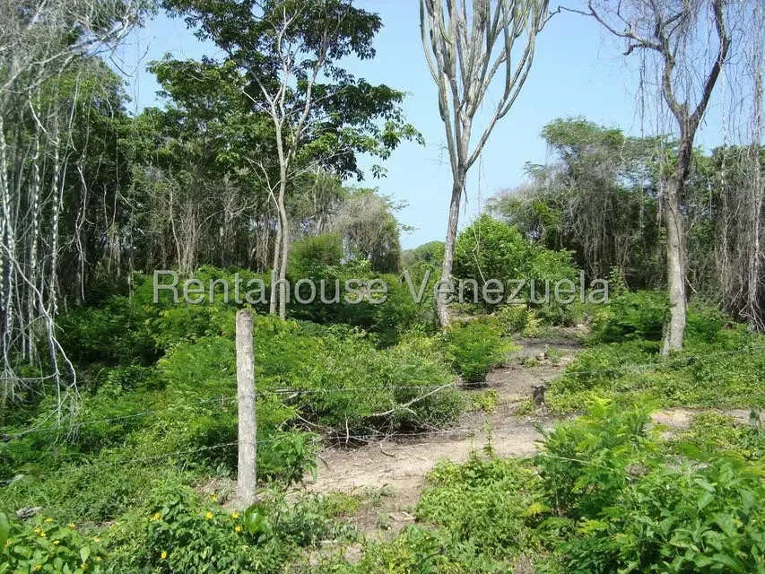 Terreno (Residencial) en Venta en Corrales, Miranda - 3