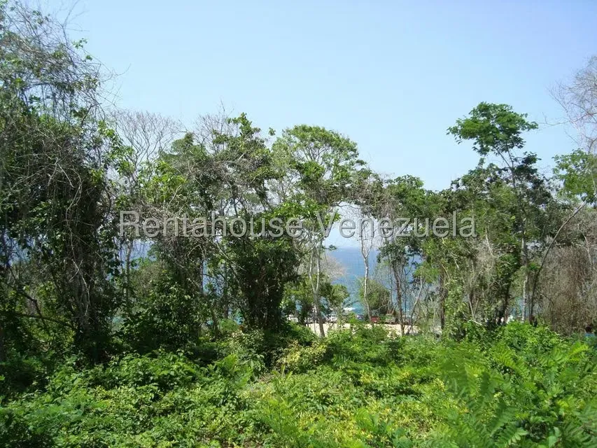 Terreno (Residencial) en Venta en Corrales, Miranda - 6