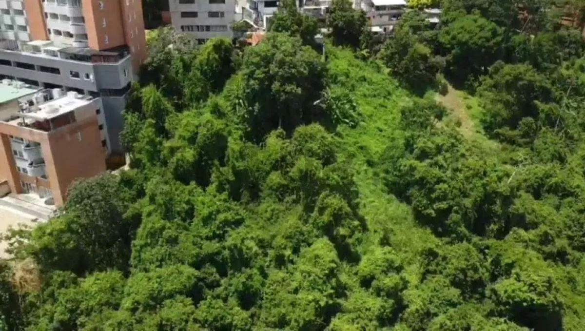 Venta terreno Los Samanes Oportunidad inversionista / constructores! 2.632 m2 - 4