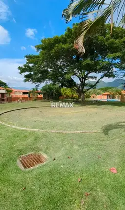 Vista 19