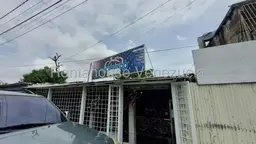 Vista 6