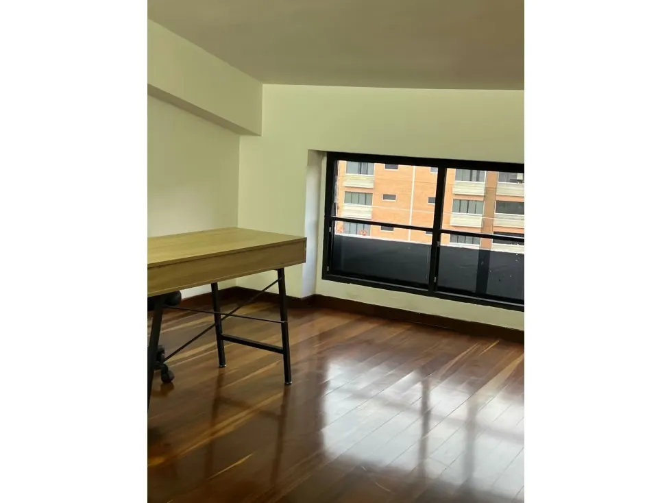 Alquilo apartamento 430m2 La Lagunita 2714 - 20
