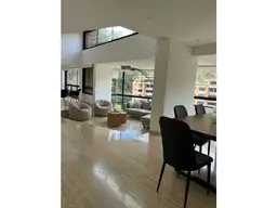 Vista 5