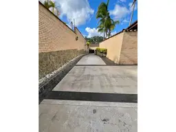 Vista 19