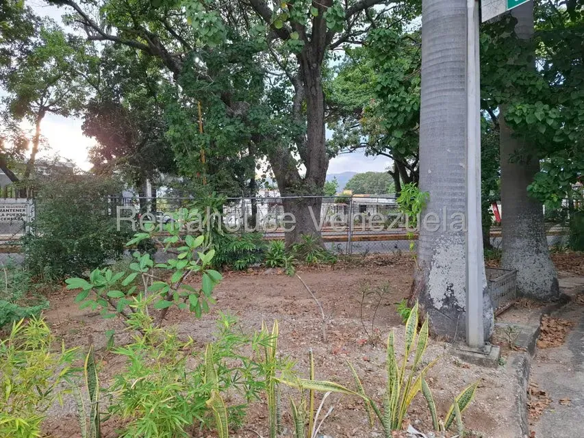 Casa (Multipes Niveles) en Venta en Trigal Centro, Carabobo - 53