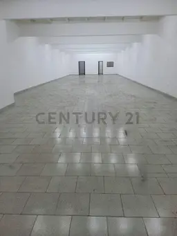 Vista 11