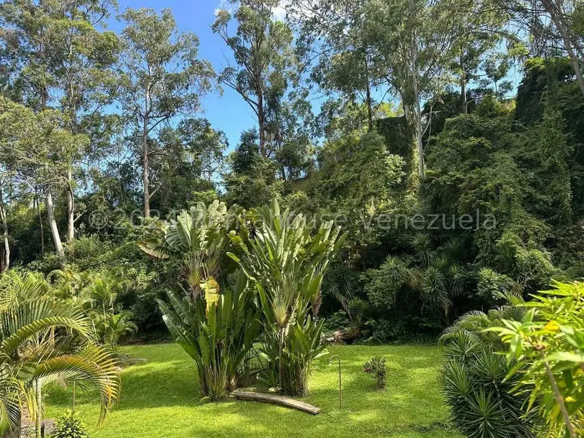 Apartamento (1 Nivel) en Venta en Los Naranjos del Cafetal, Distrito Metropolitano - 29