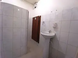 Vista 5