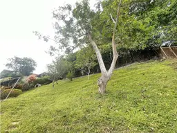 View 44