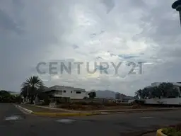 View 6