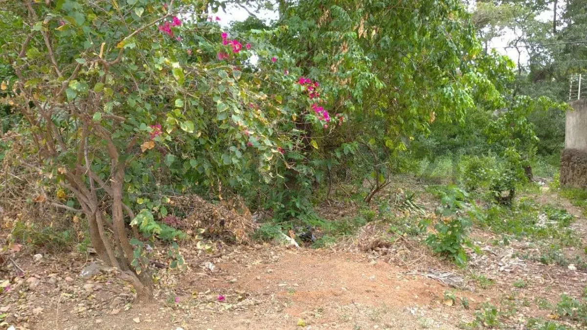 Terreno en Salamanca. La Asuncion - 10