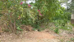 Vista 10
