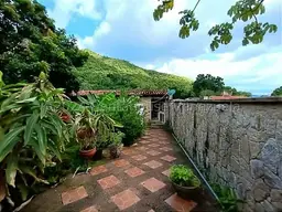 Vista 37