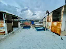 Vista 10