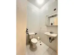 Vista 15