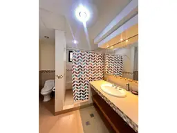 Vista 24