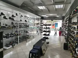 Vista 5