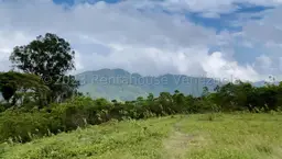 View 1