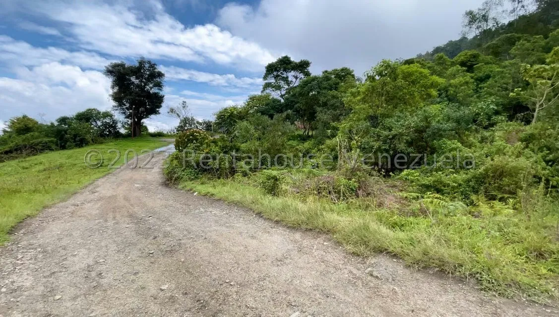 Terreno (Finca) en Venta en El Tibron, Vargas - 2