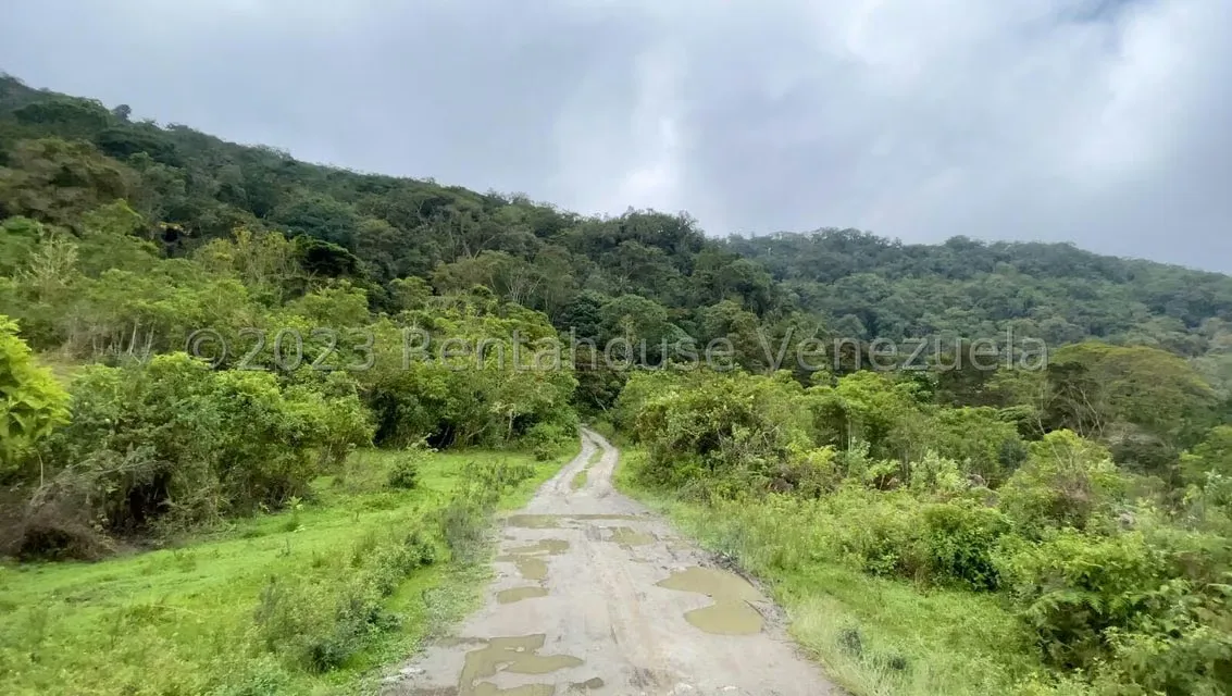 Terreno (Finca) en Venta en El Tibron, Vargas - 3