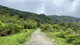 View 3
