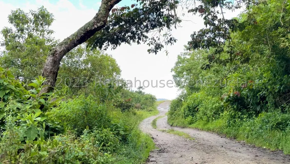 Terreno (Finca) en Venta en El Tibron, Vargas - 4