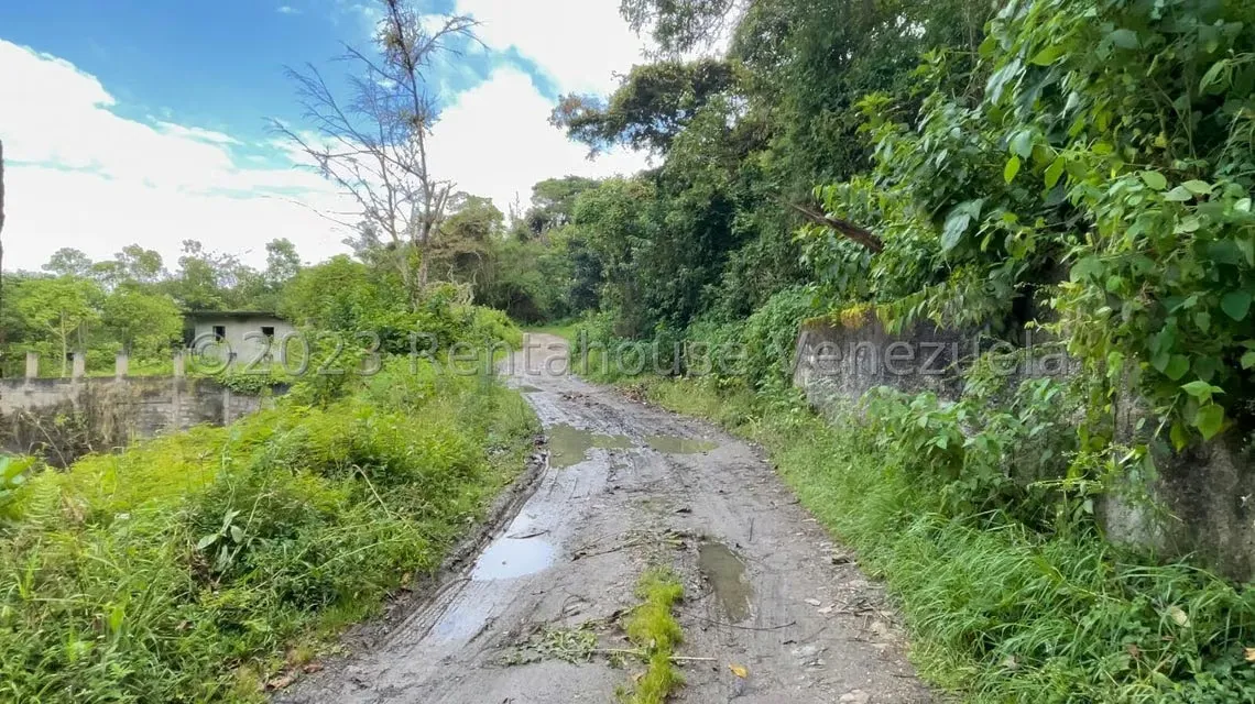 Terreno (Finca) en Venta en El Tibron, Vargas - 5