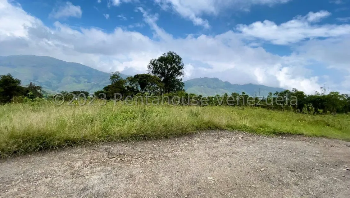 Terreno (Finca) en Venta en El Tibron, Vargas - 6
