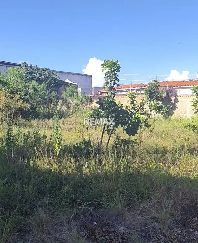 En Venta Amplio Terreno en Juanico, Maturín, Monagas. - 6