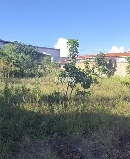 View 6