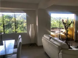 Vista 14