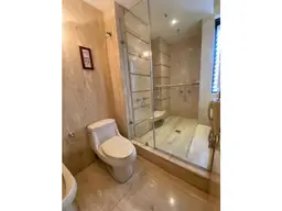 Vista 19