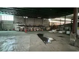 Vista 24
