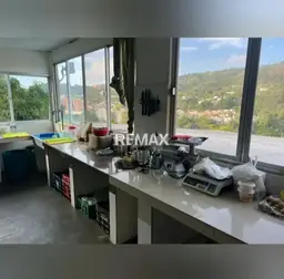 Vista 6
