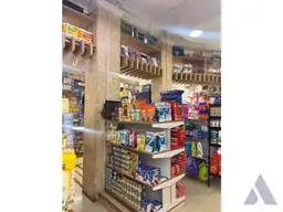 Vista 15