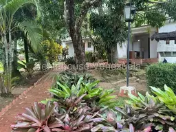 View 24