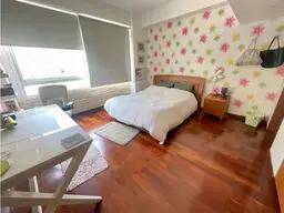 Vista 15