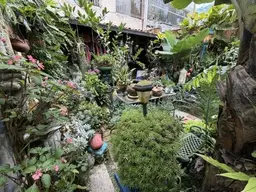 View 18
