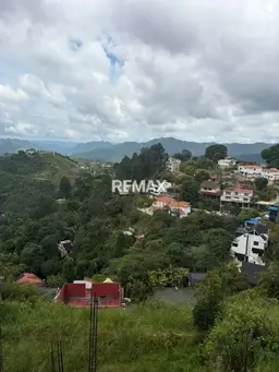 View 1