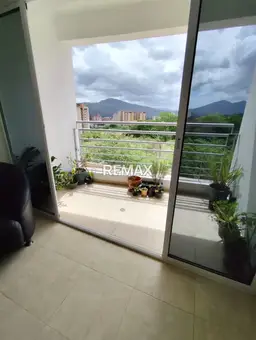 Vista 11