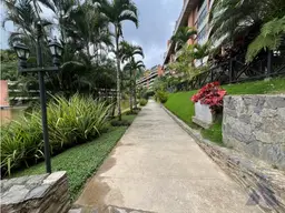 View 15