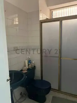 Vista 20