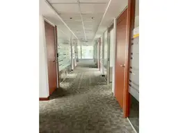 Vista 10