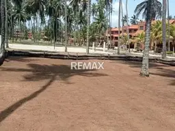 Vista 19